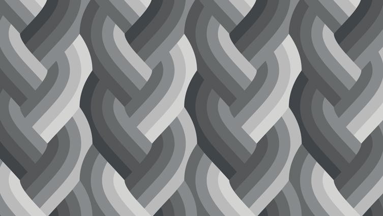 Echo Braid Black