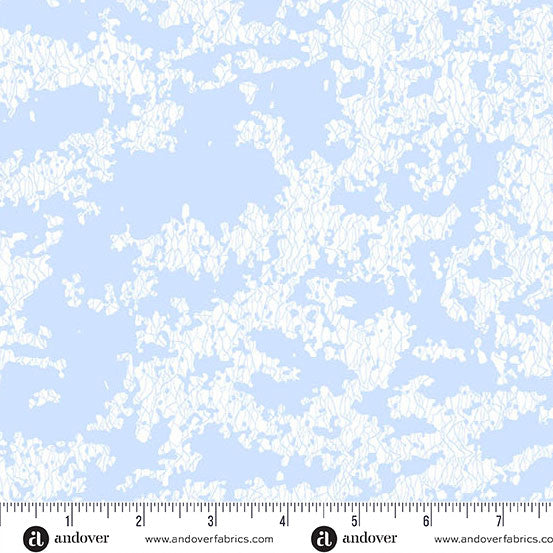 Lekker Frozen Canal from Amsterdam