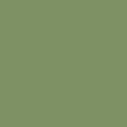 Matcha - Signature Pure Solids by Suzy Quilts
