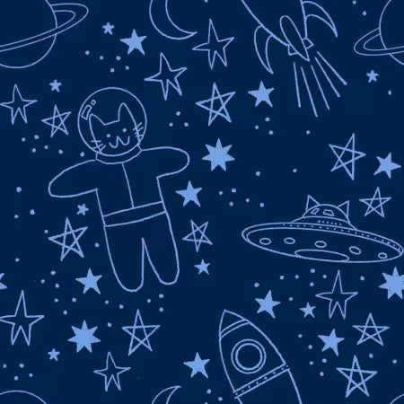 Navy Blast Off