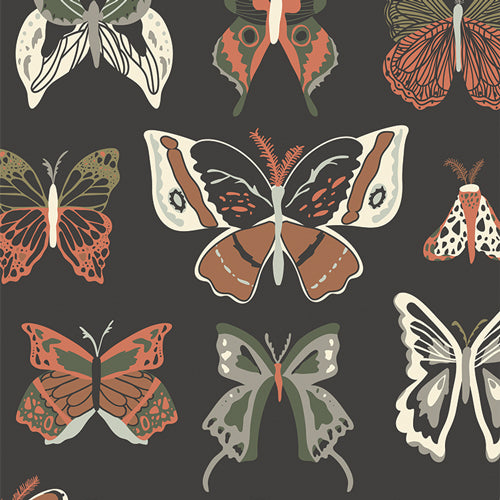Wingspan Three from Roots of Nature by Bonnie Christine