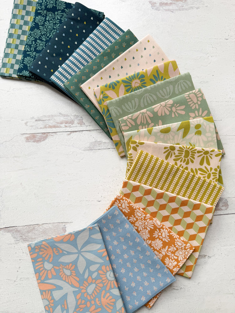 Evolve by Suzy Quilts