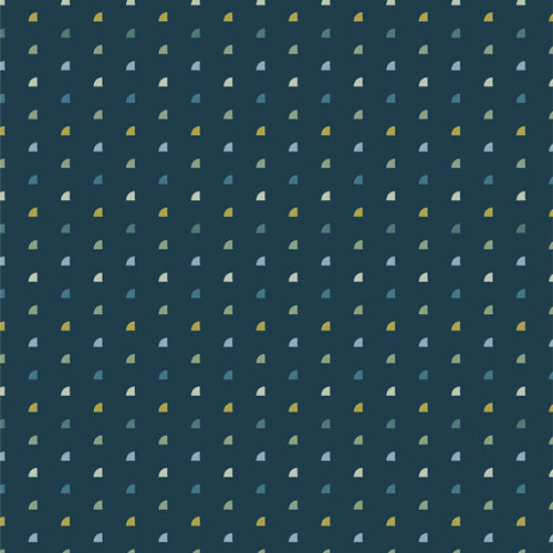 Tiny Moon Nova from Evolve by Suzy Quilts