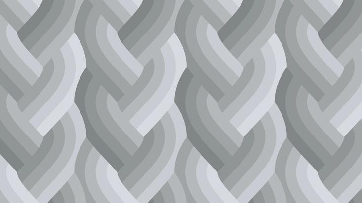 Echo Braid Gray