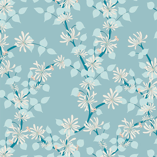 Coastal Jasmine
