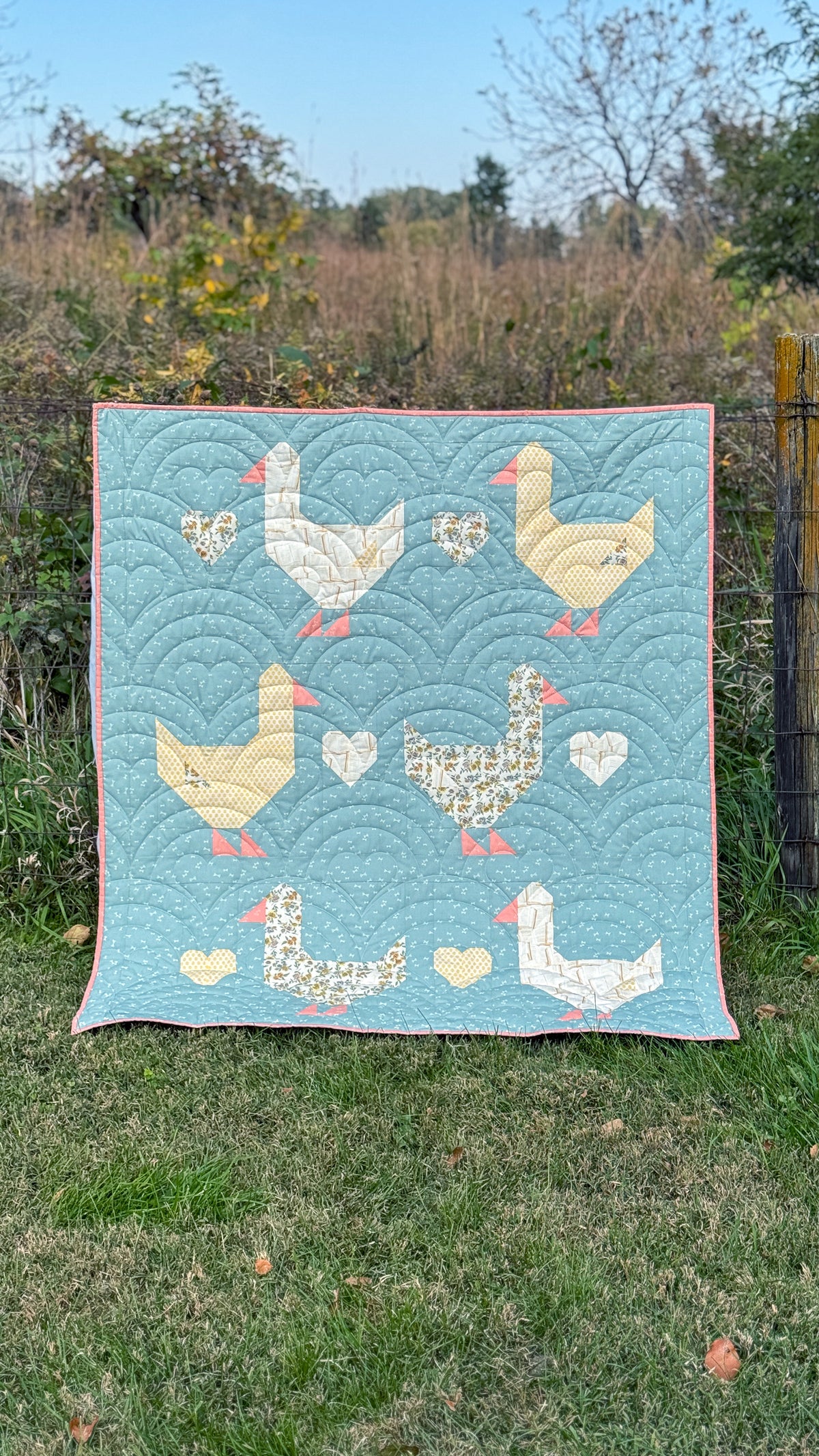 Goose Goose Quilt Kit-  Jojo Version, Crib Size