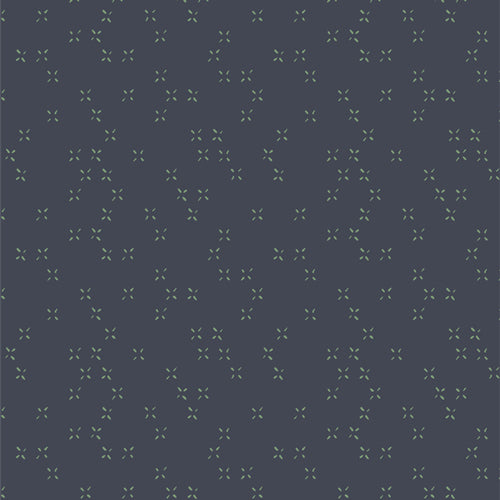 Twinkle Twinkle Galaxy from Lilliput by Sharon Holland