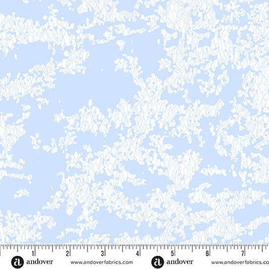 Lekker Frozen Canal from Amsterdam
