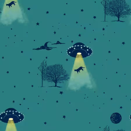 Spruce Beam Me Up